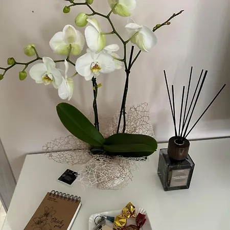 Apartment Sweet *